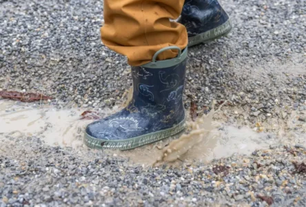 30 Derecelerden 10’a: Avusturya’da Hava Hızla Serinliyor