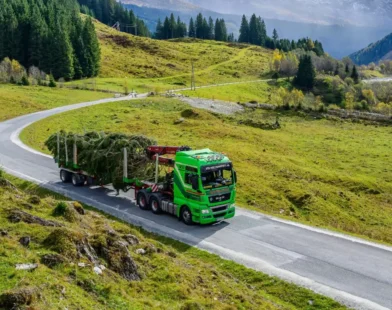 30 Metrelik Dev Noel Ağacı Raurisertal’dan Viyana’ya Taşındı