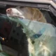 81 Yaşındaki Kadın Köpeğini Güneşte Araba İçinde Bıraktı 81 Yaşındaki Kadın Köpeğini Güneşte Araba İçinde Bıraktı