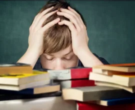 Almanca Destek Sınıfları ve Sınıf Tekrarı Öğrencileri Yaşça Geri Bırakıyor