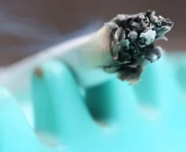 Almanya’da Esrar Kullanımı Arttı: Psikoz Vakalarında Patlama