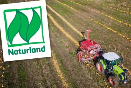 Almanya’nın Organik Devi Krizde: Çiftçiler Belirsizlikte