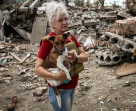 Araştırma: Ukraynalı Mülteciler Avusturya’da Daha Liberal Tutum Sergiliyor