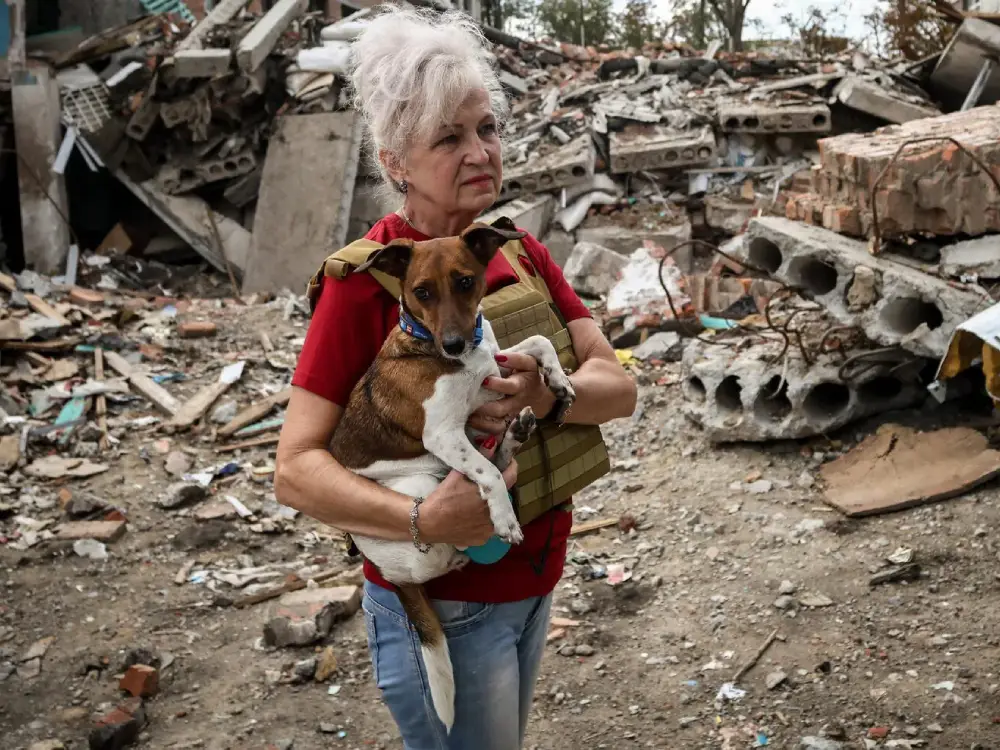 Araştırma: Ukraynalı Mülteciler Avusturya’da Daha Liberal Tutum Sergiliyor Araştırma: Ukraynalı Mülteciler Avusturya’da Daha Liberal Tutum Sergiliyor