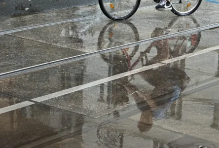 Aşırı Hava Olayları: Avrupa Yanıyor, Avusturya Sırılsıklam