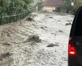 Aşırı Yağış Yine Viyana Kuzeyini Vurdu: Yollar Sular Altında
