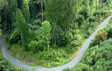 Avrupa Ormanları Karbon Tutma Gücünü Kaybediyor mu?