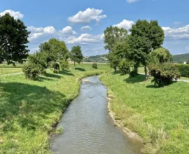 Avusturya Nehirlerinde Su Seviyeleri Alarm Veriyo