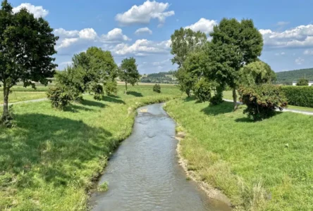 Avusturya Nehirlerinde Su Seviyeleri Alarm Veriyo