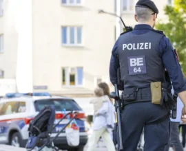 Avusturya’da Artan Silahlı ve Bıçaklı Şiddete Karşı Yeni Önlemler Yolda