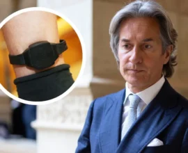 Avusturya’da Ayak Bilekliğiyle Yaşamak: Grasser ve Yeni Yasa Ne Anlama Geliyor?