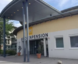 Avusturya’da Bakım Sektörü: Macarsız Olmaz