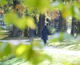 Avusturya’da Hava Değişiyor: Güneş Dönüyor, Yükseklerde Kar Sürprizi