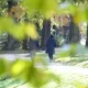 Avusturya’da Hava Değişiyor: Güneş Dönüyor, Yükseklerde Kar Sürprizi Avusturya’da Hava Değişiyor: Güneş Dönüyor, Yükseklerde Kar Sürprizi