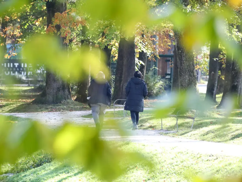 Avusturya’da Hava Değişiyor: Güneş Dönüyor, Yükseklerde Kar Sürprizi