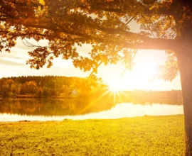 Avusturya’da Hava Durumu: Başta Güneş, Ortada Yağmur, Sonda Yaz Sıcakları