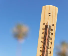 Avusturya’da Kavurucu Sıcaklar: Sıcaklık 35 Dereceye Ulaşıyor!