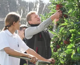 Avusturya’da Meyve Hasadı Rekor Kırdı: Ürünler Son 10 Yılın Çok Üzerinde