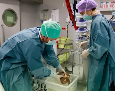 Avusturya’da Organ Bağışı Krizi: 62 Hasta Zamanında Organ Bulamadı