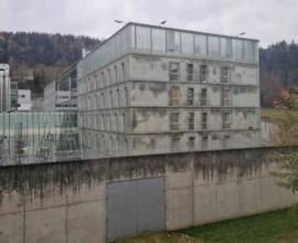 Avusturya’da Rehabilitasyon Başarısız Oldu: Terör Destekçisi Gençler Tekrar Gözaltında