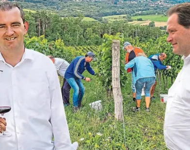 Avusturya’da Şarap Krizi: Milyonlarca Euro’luk AB Yardımı Bekletiliyor