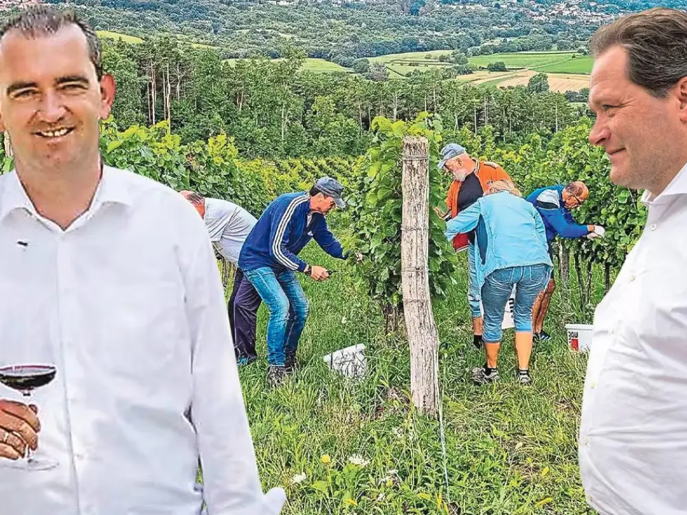 Avusturya’da Şarap Krizi: Milyonlarca Euro’luk AB Yardımı Bekletiliyor