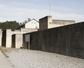 Avusturya’da Şok: Zivildiener İş Yerinde Katliam Tehdidi Savurdu