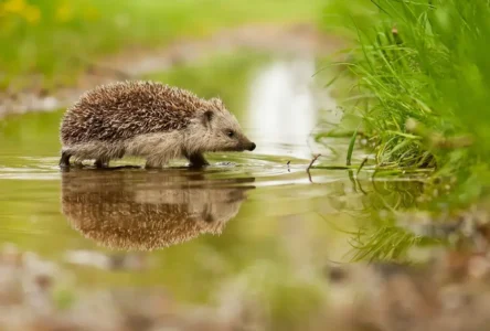 Avusturya’da Sonbahar Havası Dengesiz: Yağmur, Rüzgar ve Güneş Bir Arada!