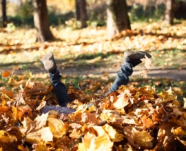 Avusturya’da Sonbahar Havası: Güneş, Sis ve Ara Sıra Yağmur