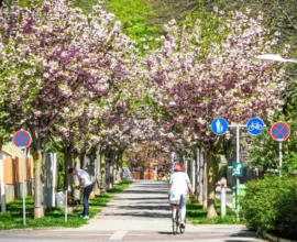 Avusturya'da Yaz Erken Geldi: Sıcaklık 33 Dereceyi Geçti