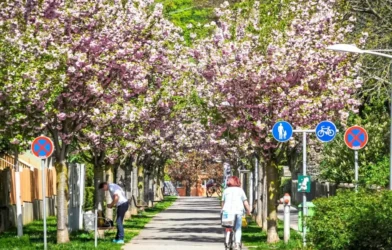 Avusturya'da Yaz Erken Geldi: Sıcaklık 33 Dereceyi Geçti
