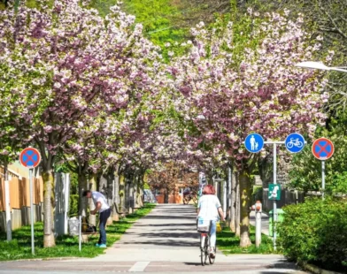 Avusturya'da Yaz Erken Geldi: Sıcaklık 33 Dereceyi Geçti