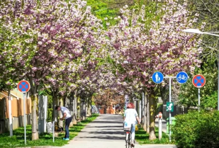 Avusturya'da Yaz Erken Geldi: Sıcaklık 33 Dereceyi Geçti