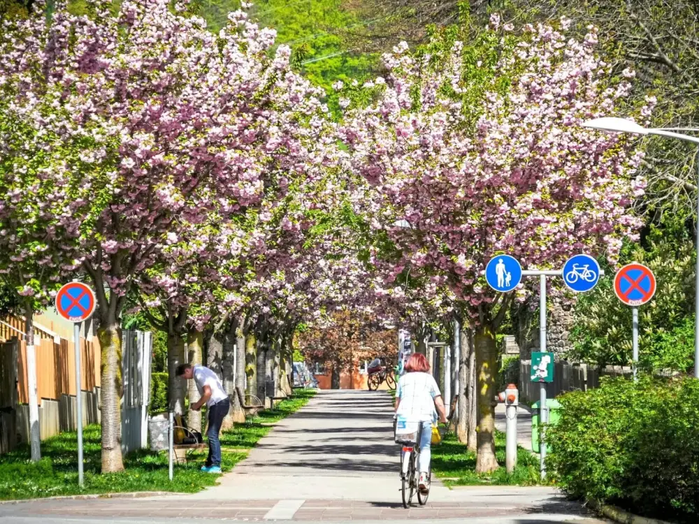 Avusturya'da Yaz Erken Geldi: Sıcaklık 33 Dereceyi Geçti