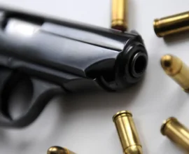 Avusturyalıların Çoğunluğu Daha Sıkı Silah Yasası İstiyor