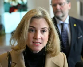 Avusturya'nın 20 Milyon Euroluk BM Kampanyası: Gereksiz Harcama mı, Diplomatik Yatırım mı?