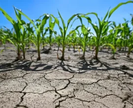 Bilim İnsanları Hesapladı: 2030’dan Önce 1,5 Derece Sınırı Kesin Olarak Aşılacak