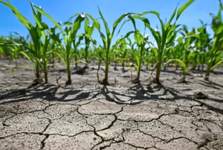 Bilim İnsanları Hesapladı: 2030’dan Önce 1,5 Derece Sınırı Kesin Olarak Aşılacak