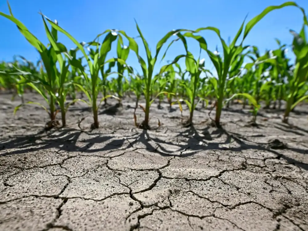 Bilim İnsanları Hesapladı: 2030’dan Önce 1,5 Derece Sınırı Kesin Olarak Aşılacak Bilim İnsanları Hesapladı: 2030’dan Önce 1,5 Derece Sınırı Kesin Olarak Aşılacak