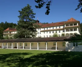 Bludenz’de Eski Lungenheilanstalt’ta Mülteci Yurdu Tartışması