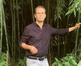 Burgenland’da Ormanda Bambu İstilası: Doğa İçin Alarm