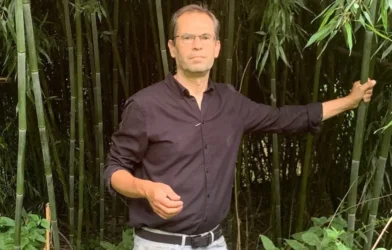 Burgenland’da Ormanda Bambu İstilası: Doğa İçin Alarm Burgenland’da Ormanda Bambu İstilası: Doğa İçin Alarm