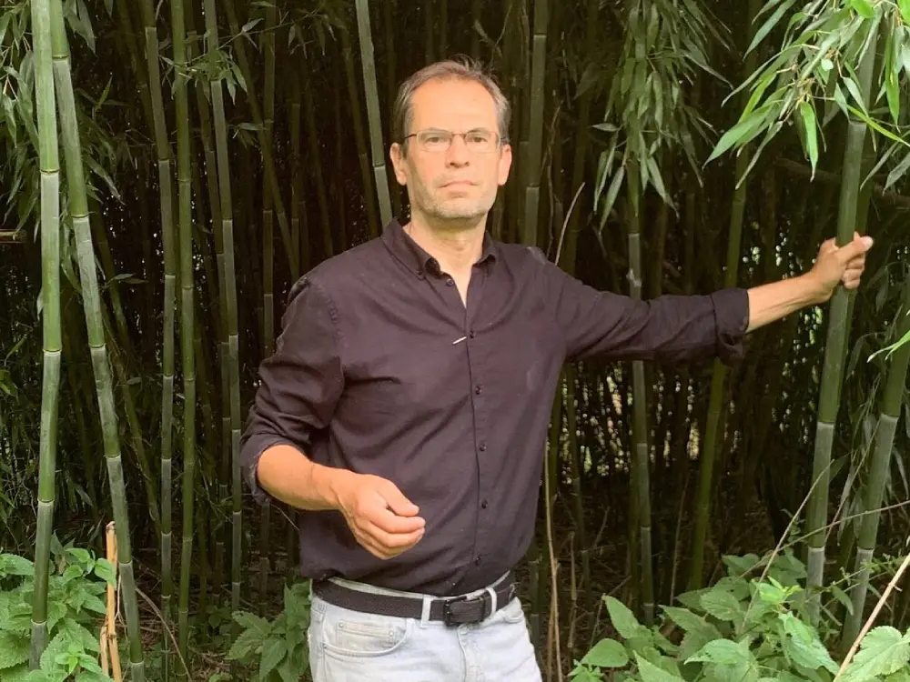 Burgenland’da Ormanda Bambu İstilası: Doğa İçin Alarm