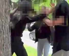 Çete Şiddeti Ortaokula Sıçradı: Öğrenciler, Kızın Talimatıyla Saldırıyor