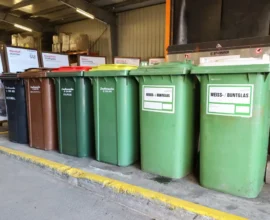 Çöp Ayrıştırmada Sürpriz Sonuç: Gençler Geri Kalıyor, Yaşlılar Örnek Oluyor