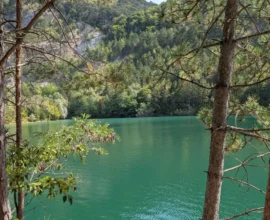 Dernek, Yüzme Yasağına Karşı Yeni Kullanım Planı Hazırladı