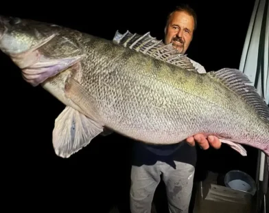 Drau Nehri'nde 9 Kilo’ya Yakın Dev Zander Yakalandı