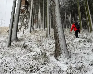 En Soğuk Gecede Kayıp: Arama Ekipleri 52 Yaşındaki Adamı Donmak Üzere Buldu
