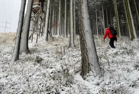 En Soğuk Gecede Kayıp: Arama Ekipleri 52 Yaşındaki Adamı Donmak Üzere Buldu