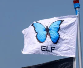 Festival Kampçılarının Gizli Dili: Semboller Ne Anlama Geliyor?